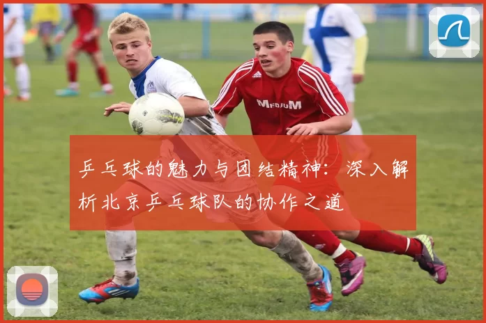 乒乓球的魅力与团结精神：深入解析北京乒乓球队的协作之道