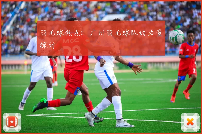 羽毛球焦点：广州羽毛球队的力量探讨