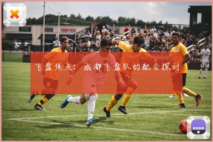 飞盘焦点：成都飞盘队的配合探讨