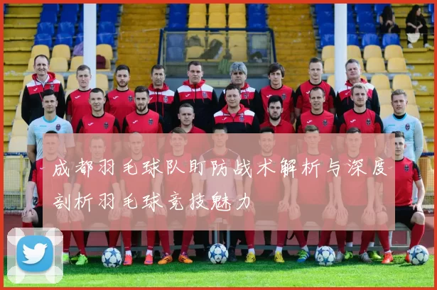 成都羽毛球队盯防战术解析与深度剖析羽毛球竞技魅力