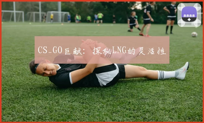 CS_GO巨献：探秘LNG的灵活性