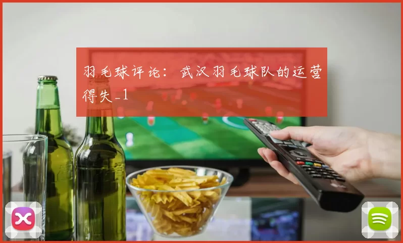 羽毛球评论：武汉羽毛球队的运营得失_1