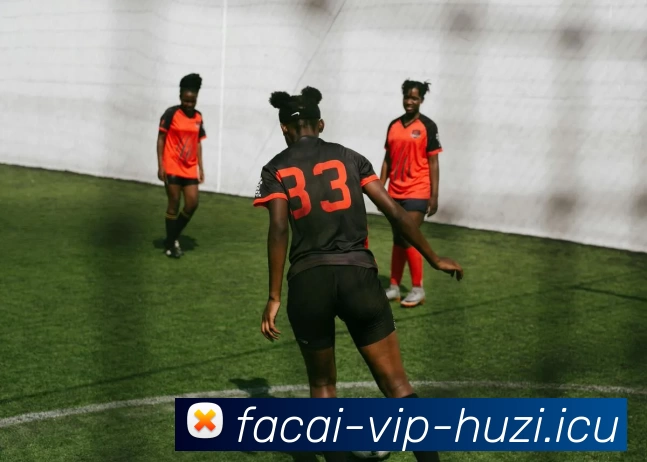 数据防护可视化